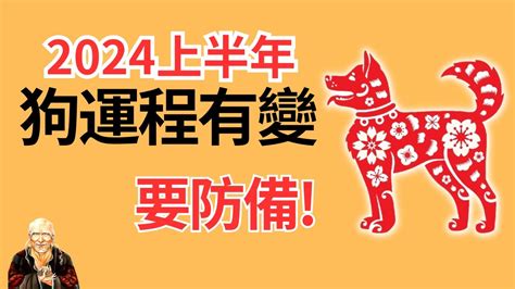 1981屬雞2024運勢|2024属鸡全年运势 2024属鸡全年运势详解